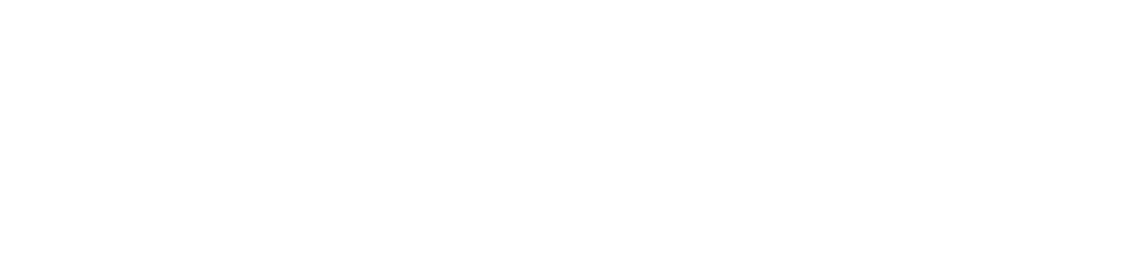 hair salon W